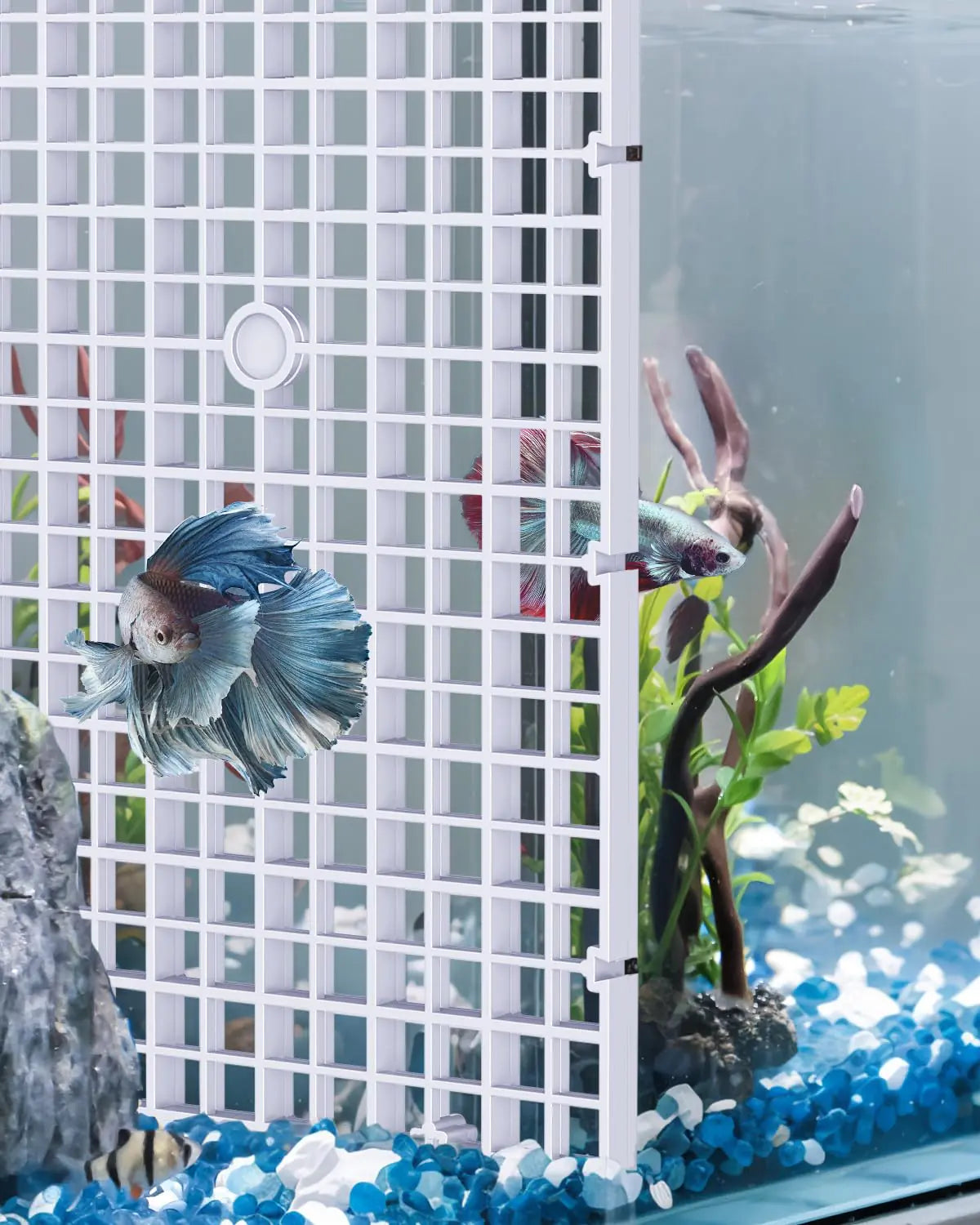 Aquarium Fish Tank Divider Plastic Aquarium Grid Divider Egg Crate