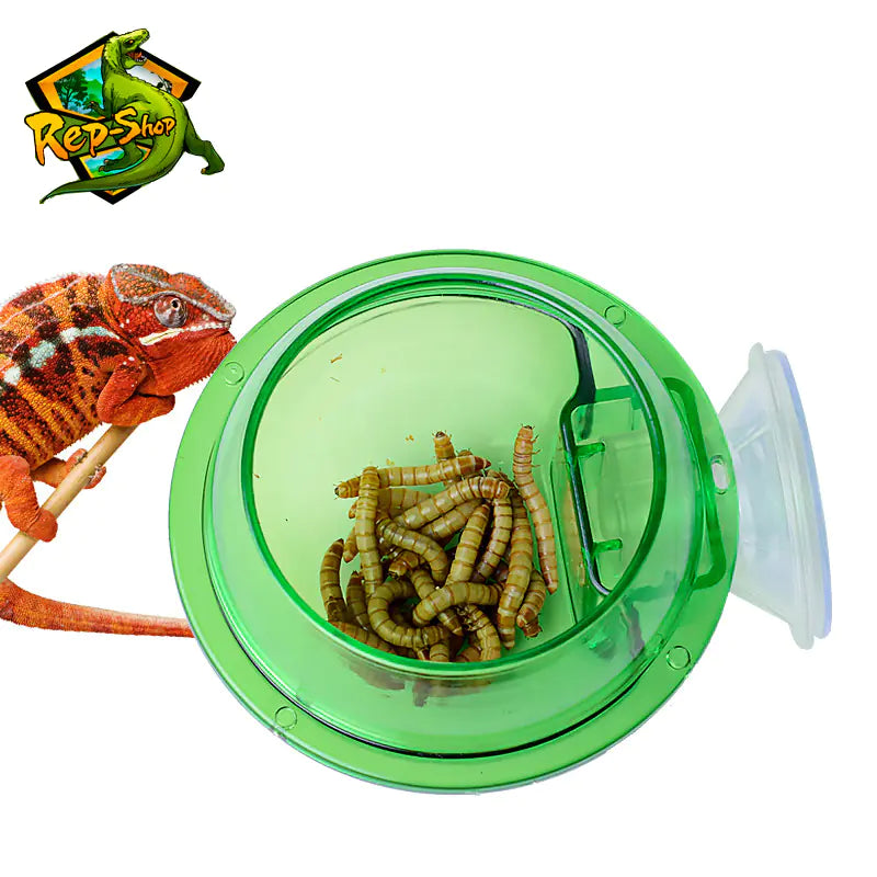 Feeding Bowl with Suction Cup for Reptiles