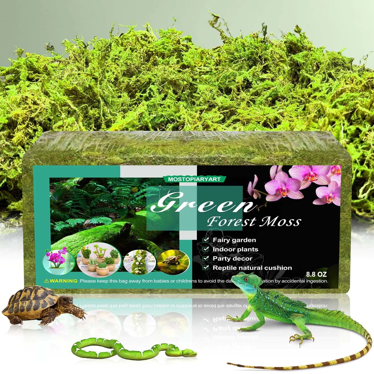 Reptiles Plants and Terrariums Forest Moss Bedding