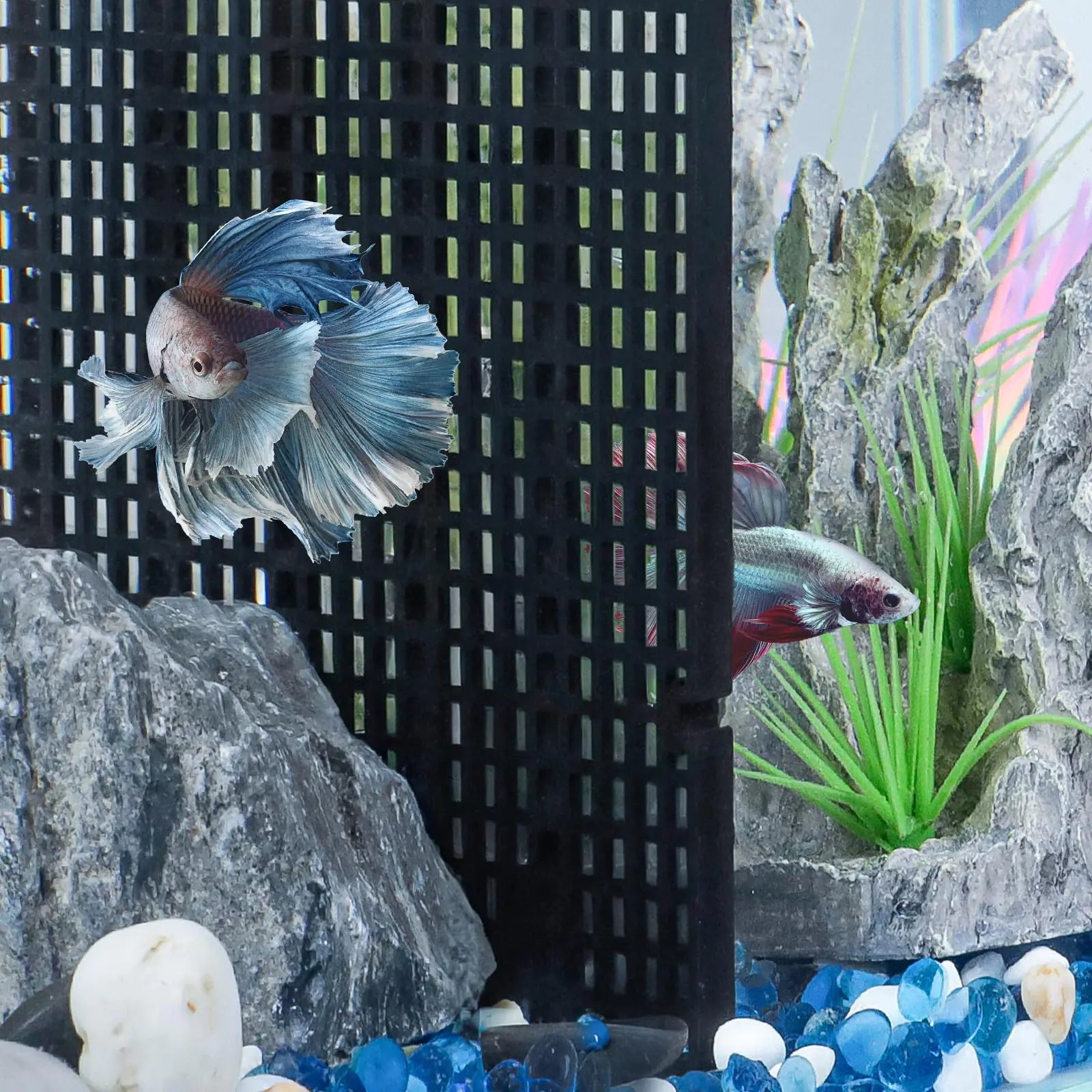 Pawfly 4 Pcs Aquarium Grid Divider Plastic Fish Tank Divider Egg Crate Divider Tray Grid Fish Tank Bottom Isolation Separator for Aquarium Fish and Plants Black