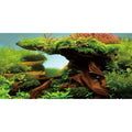Wood Fish Tank Background Seaweed Aquarium
