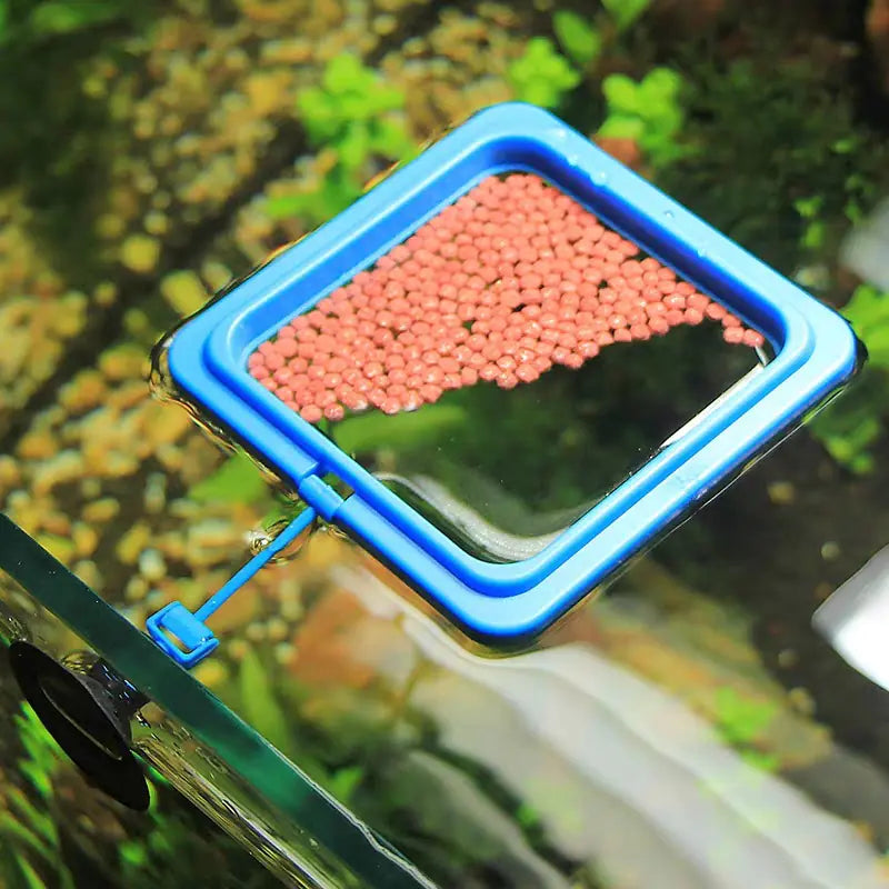 Floating Feeding Ring for Fish Tank - Thickened Design
